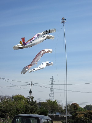 koinobori.jpg