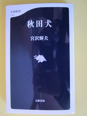 sinnshoakitainu.jpg