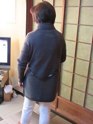 wannpi-su.jpg