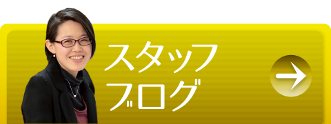 スタッフブログ